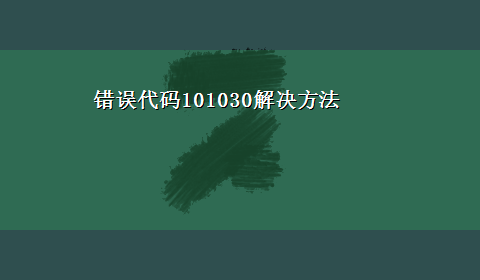 错误代码101030解决方法