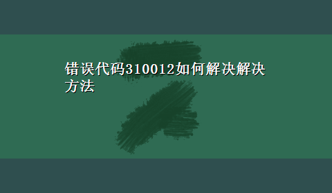 错误代码310012如何解决解决方法