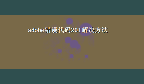 adobe错误代码201解决方法