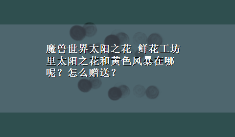 魔兽世界太阳之花 鲜花工坊里太阳之花和黄色风暴在哪呢？怎么赠送？