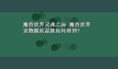 魔兽世界灵魂之汤 魔兽世界宠物源质晶簇如何得到?