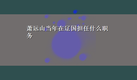 萧远山当年在辽国担任什么职务