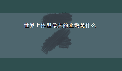 世界上体型最大的企鹅是什么