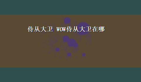 侍从大卫 WOW侍从大卫在哪