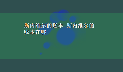 斯内维尔的账本 斯内维尔的账本在哪