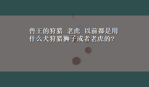 兽王的狩猎 老虎 以前都是用什么犬狩猎狮子或者老虎的?