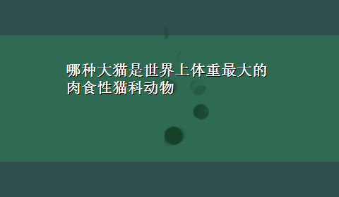 哪种大猫是世界上体重最大的肉食性猫科动物