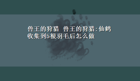 兽王的狩猎 兽王的狩猎:仙鹤收集到5根羽毛后怎么做