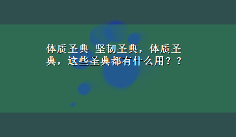 体质圣典 坚韧圣典，体质圣典，这些圣典都有什么用？？