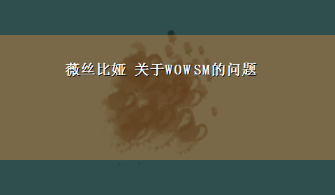 薇丝比娅 关于WOW SM的问题