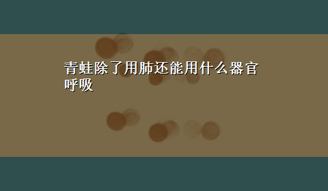 青蛙除了用肺还能用什么器官呼吸