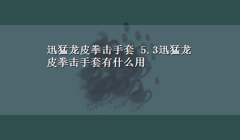 迅猛龙皮拳击手套 5.3迅猛龙皮拳击手套有什么用