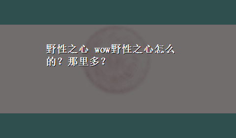 野性之心 wow野性之心怎么的？那里多？