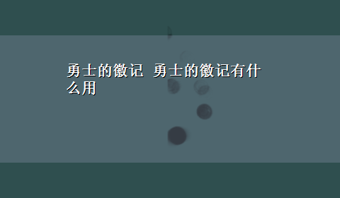 勇士的徽记 勇士的徽记有什么用