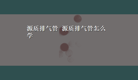 源质排气管 源质排气管怎么学