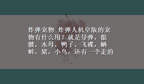 炸弹宠物 炸弹人机皇版的宠物有什么用？就是导弹，骷髅，水母，鸭子，飞碟，蝌蚪，猪，小鸟，还有一个走的很慢的。