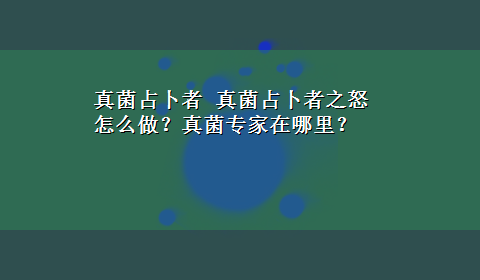 真菌占卜者 真菌占卜者之怒怎么做？真菌专家在哪里？