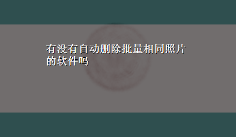 有没有自动删除批量相同照片的软件吗