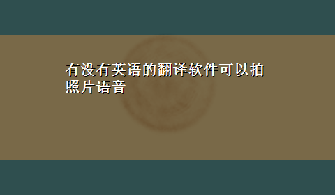 有没有英语的翻译软件可以拍照片语音