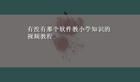 有没有那个软件教小学知识的视频教程