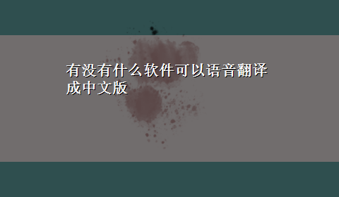 有没有什么软件可以语音翻译成中文版