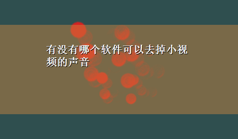 有没有哪个软件可以去掉小视频的声音