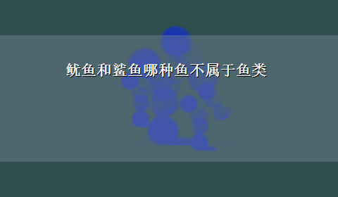 鱿鱼和鲨鱼哪种鱼不属于鱼类