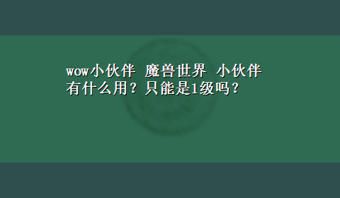 wow小伙伴 魔兽世界 小伙伴有什么用？只能是1级吗？