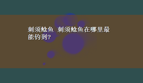 刺须鲶鱼 刺须鲶鱼在哪里最能钓到?