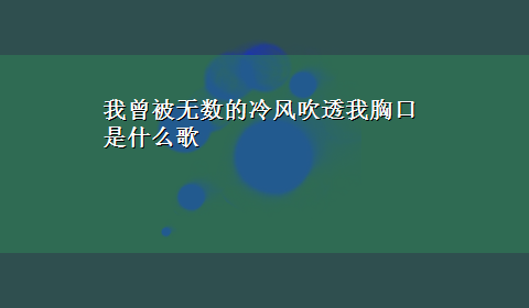 我曾被无数的冷风吹透我胸口是什么歌