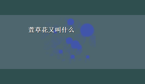 萱草花又叫什么