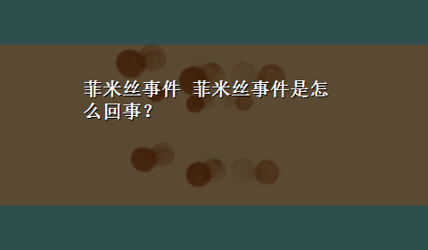 菲米丝事件 菲米丝事件是怎么回事？