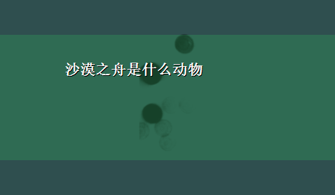 沙漠之舟是什么动物