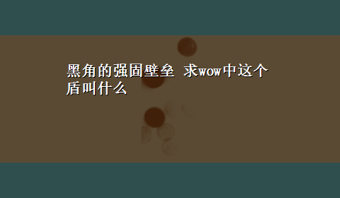 黑角的强固壁垒 求wow中这个盾叫什么