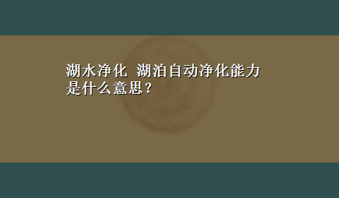 湖水净化 湖泊自动净化能力是什么意思？