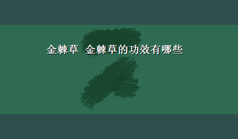 金棘草 金棘草的功效有哪些