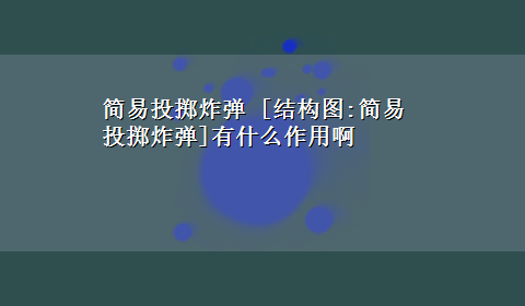 简易投掷炸弹 [结构图:简易投掷炸弹]有什么作用啊