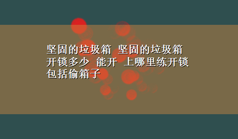 坚固的垃圾箱 坚固的垃圾箱 开锁多少 能开 上哪里练开锁 包括偷箱子