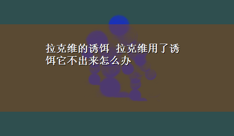 拉克维的诱饵 拉克维用了诱饵它不出来怎么办