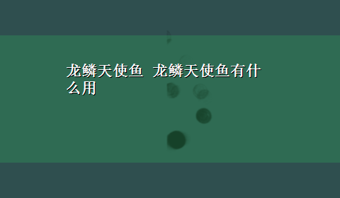 龙鳞天使鱼 龙鳞天使鱼有什么用