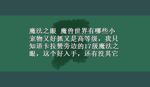 魔法之眼 魔兽世界有哪些小宠物又好抓又是高等级，我只知道卡拉赞旁边的17级魔法之眼，这个好入手，还有没其它的