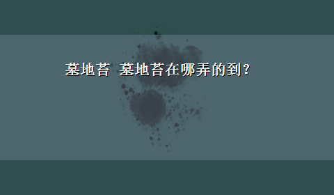 墓地苔 墓地苔在哪弄的到？