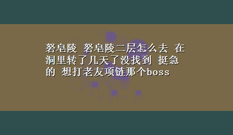 砮皂陵 砮皂陵二层怎么去 在洞里转了几天了没找到 挺急的 想打老友项链那个boss