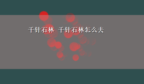 千针石林 千针石林怎么去