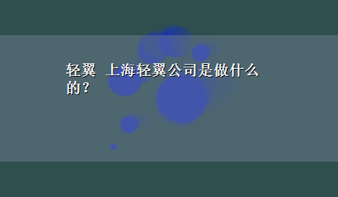 轻翼 上海轻翼公司是做什么的？