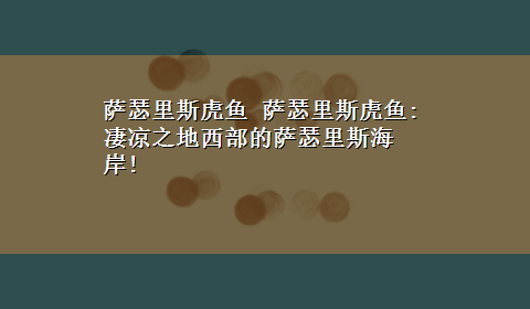 萨瑟里斯虎鱼 萨瑟里斯虎鱼:凄凉之地西部的萨瑟里斯海岸!