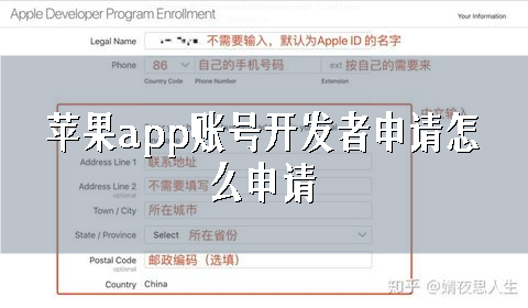 苹果app账号开发者申请怎么申请